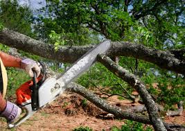 Lawn Irrigation Installation and Maintenance in Wilkesboro, NC